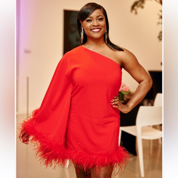 NWT Antonio Melani Cosima One Sleeve Asymmetrical Neckline Feather Trim Dress - Picture 10 of 10